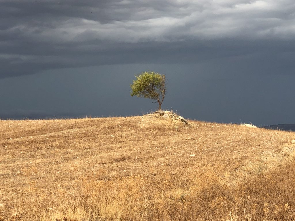 Das aktuelle Bild hat keinen Alternativtext. Der Dateiname ist: IMG_2543-scaled.jpg