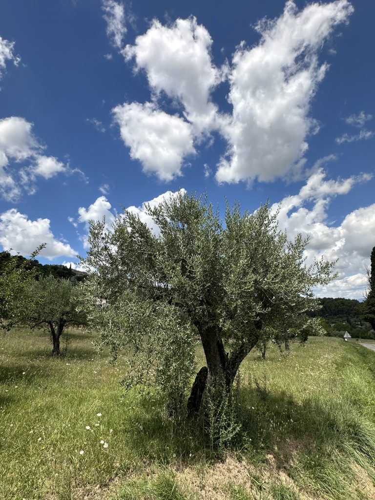 Das aktuelle Bild hat keinen Alternativtext. Der Dateiname ist: IMG_3150-scaled.jpeg