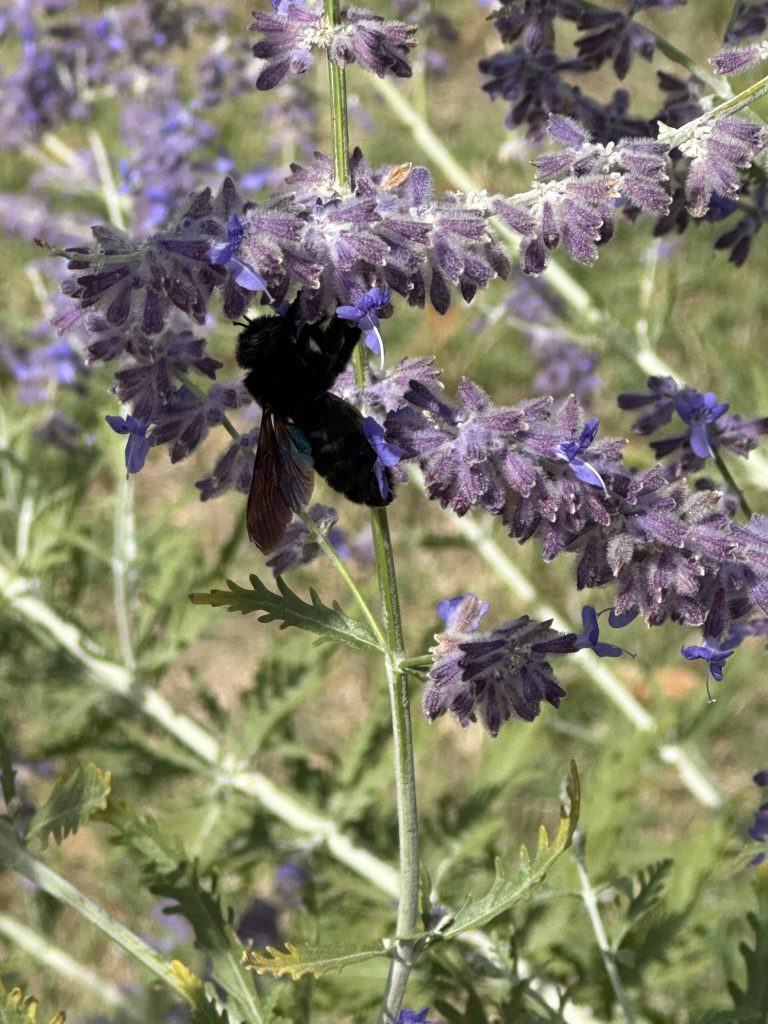 Das aktuelle Bild hat keinen Alternativtext. Der Dateiname ist: IMG_3792-scaled.jpeg