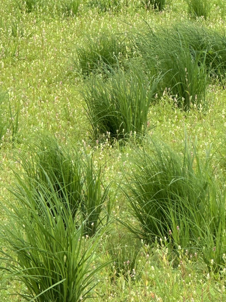 Das aktuelle Bild hat keinen Alternativtext. Der Dateiname ist: IMG_4305-scaled.jpeg